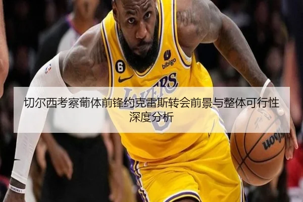 切尔西考察葡体前锋约克雷斯转会前景与整体可行性深度分析